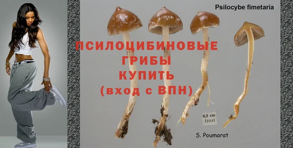 соль ск Дубовка