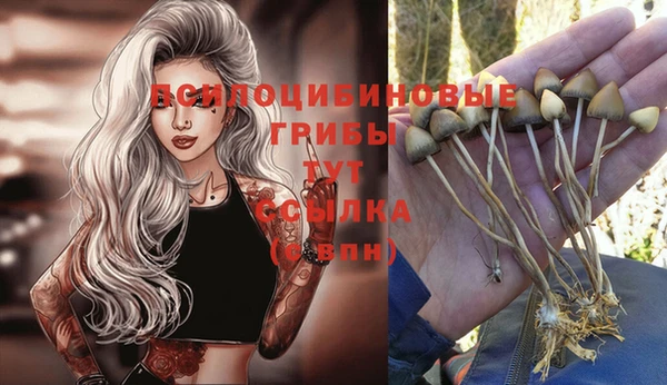 ALPHA PVP Бородино