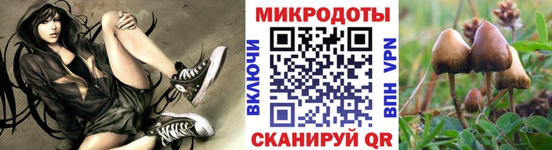 Псилоцибиновые грибы мицелий  цена наркотик  MEGA зеркало  Можайск 