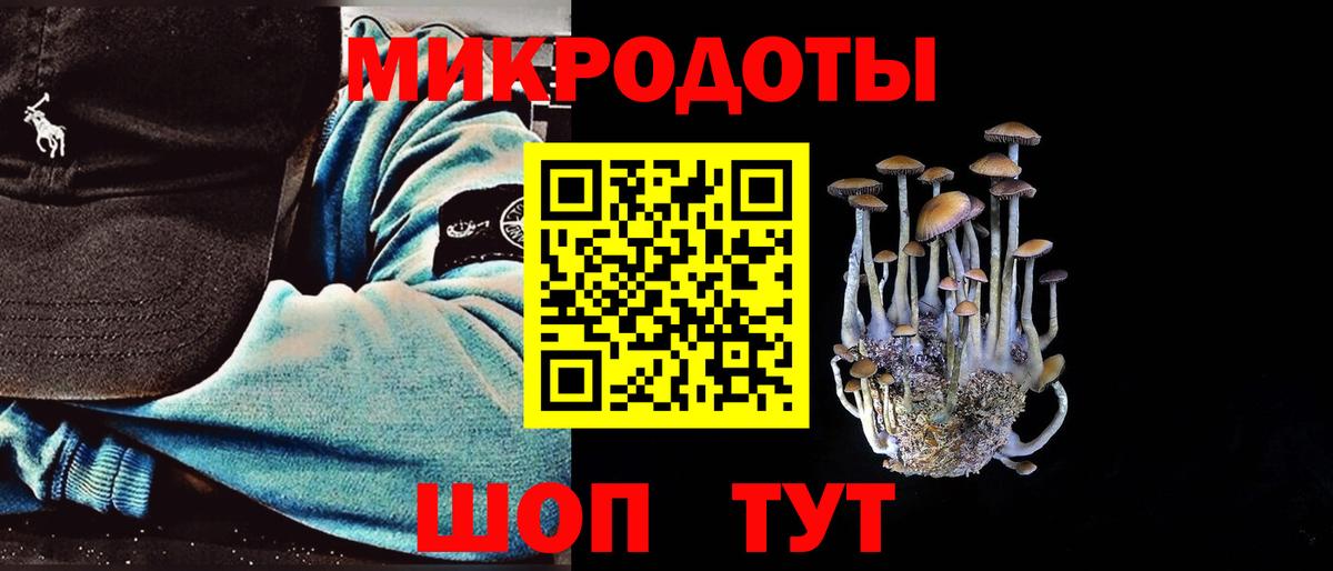 Псилоцибиновые грибы Psilocybe Можайск